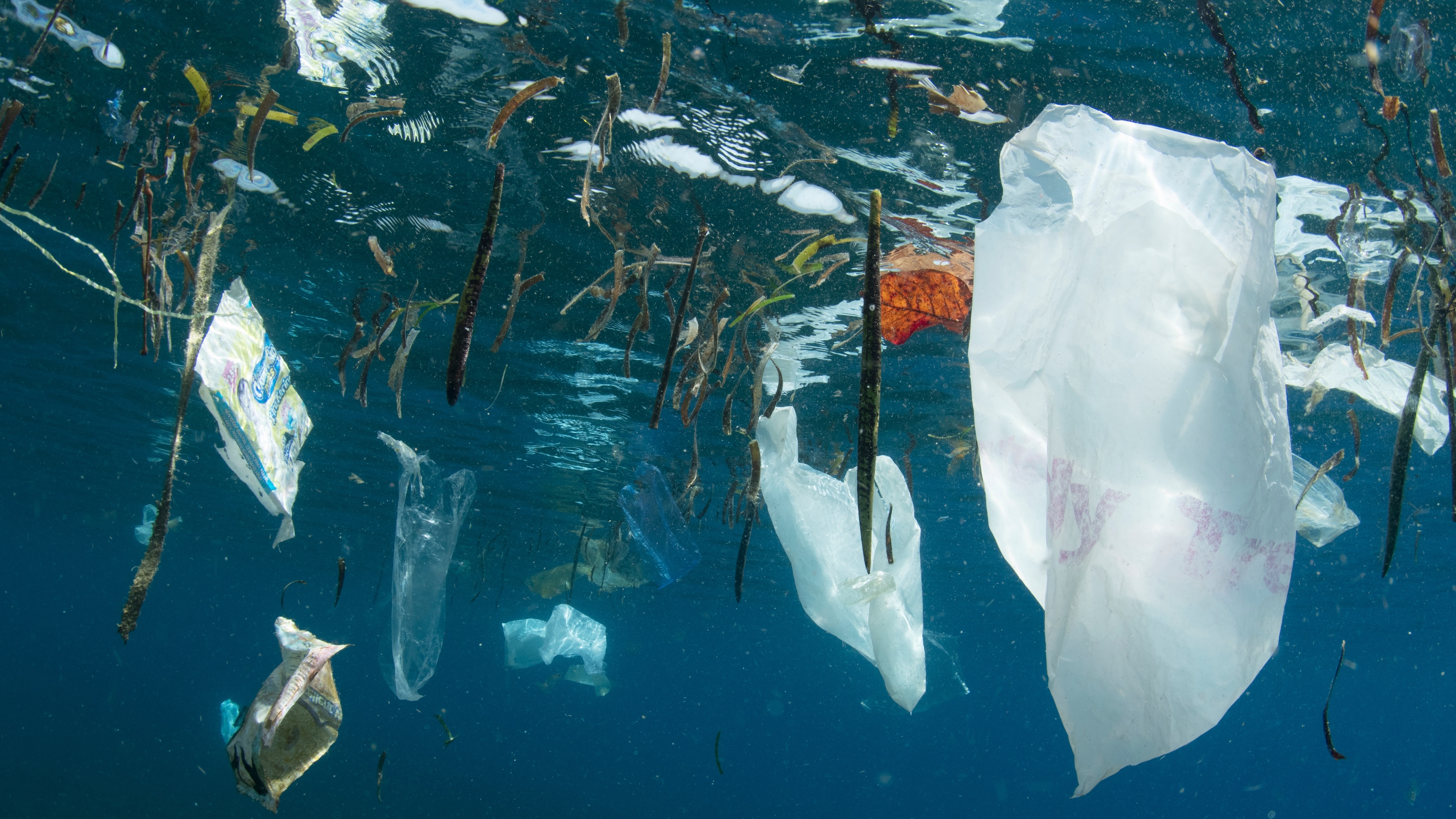 plastic Noordzee